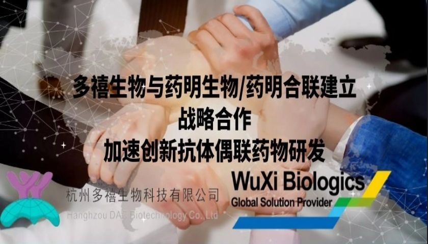多禧生物与药明生物/药明合联建立战略合作加速创新抗体偶联药物研发